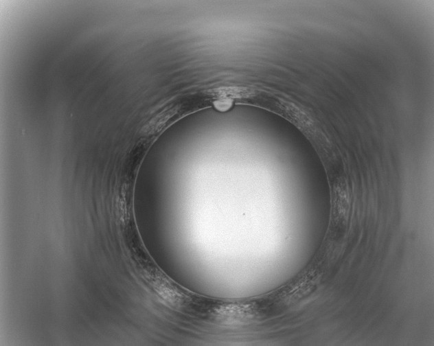 X0000058800422200510071707