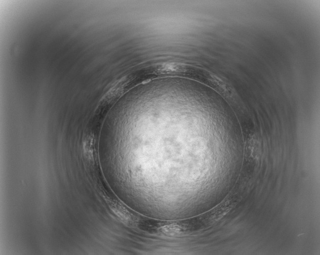 X0000058800423200510071707