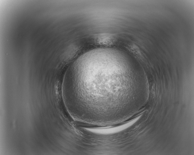 X0000058800424200510071707