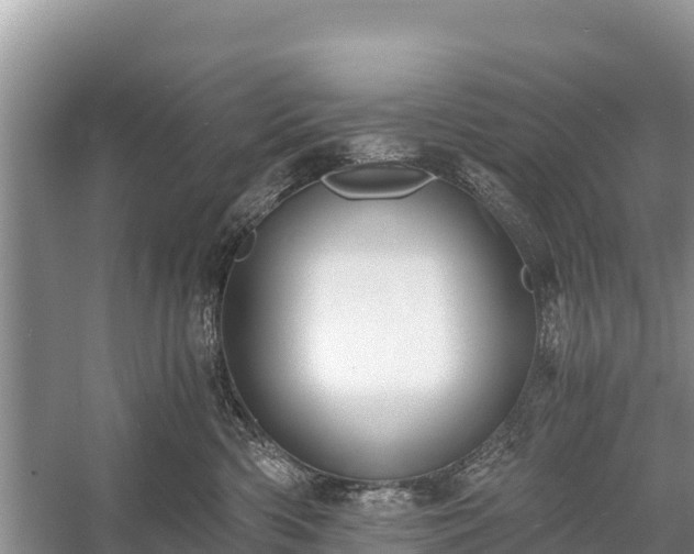 X0000058800426200510071707