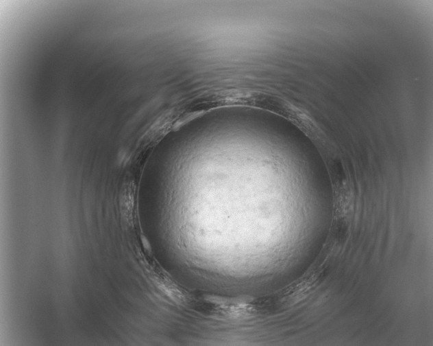 X0000058800427200510071707