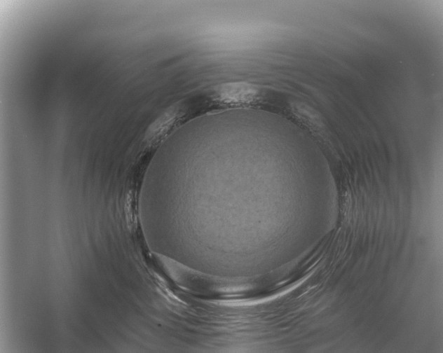 X0000058800428200510071707