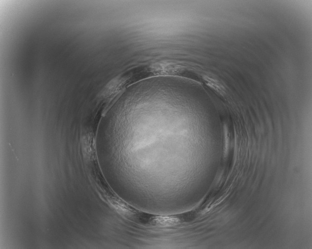 X0000058800429200510071707