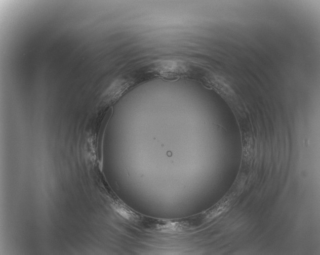 X0000058800430200510071707