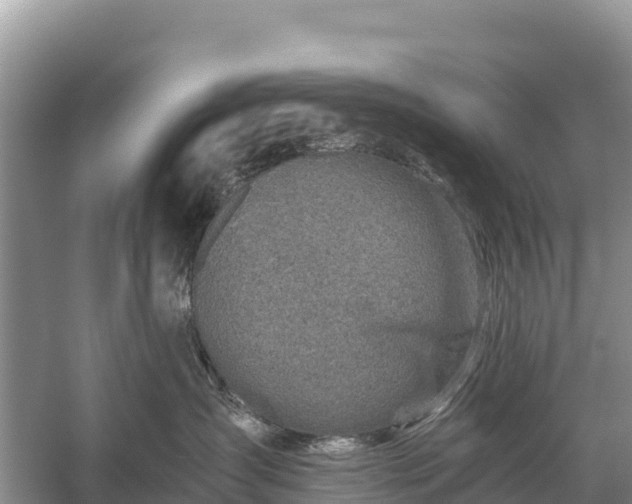 X0000058800431200510071707