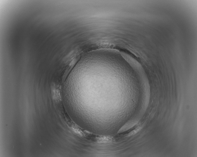 X0000058800432200510071707