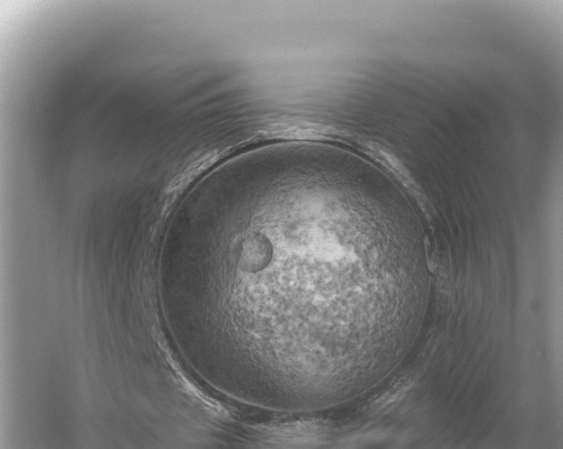 X0000058800433200510071706