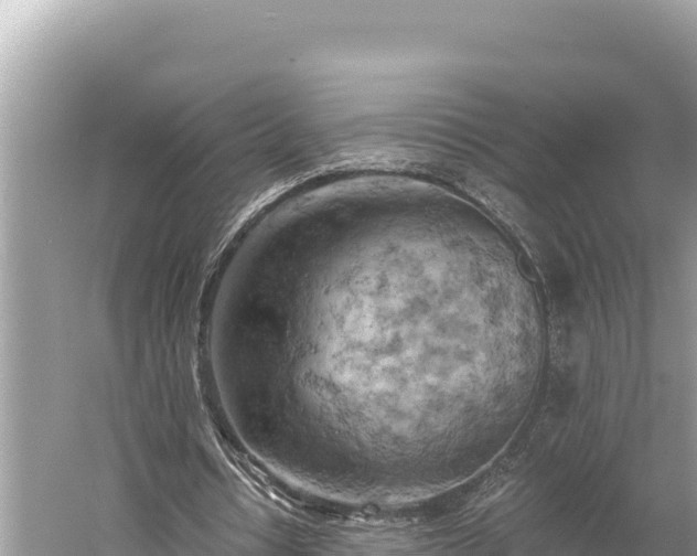 X0000058800434200510071706