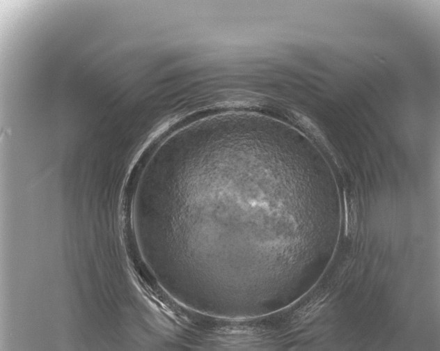 X0000058800435200510071706