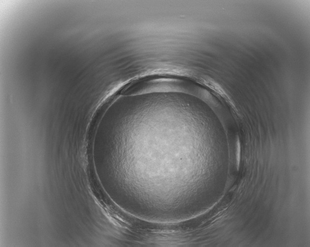 X0000058800436200510071706