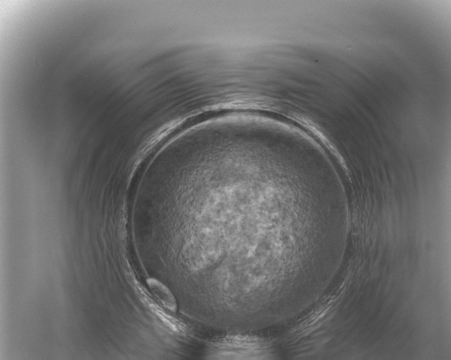 X0000058800437200510071706