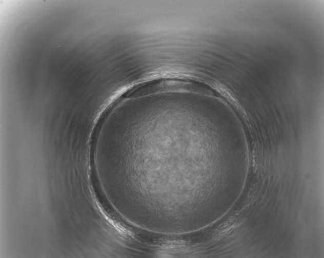 X0000058800438200510071706