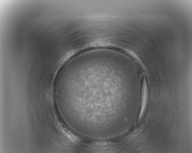 X0000058800439200510071706