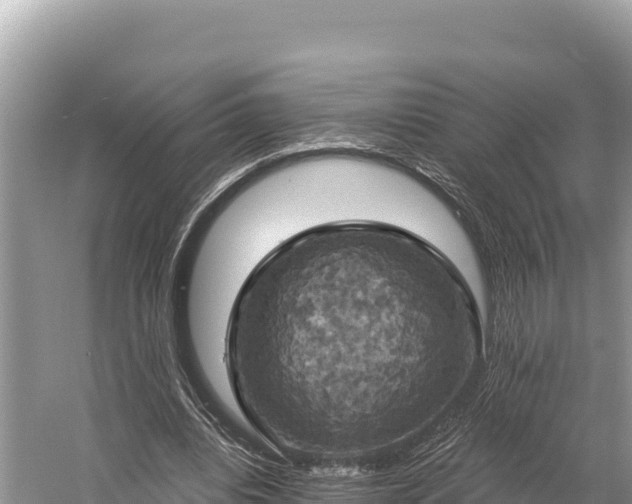 X0000058800440200510071706