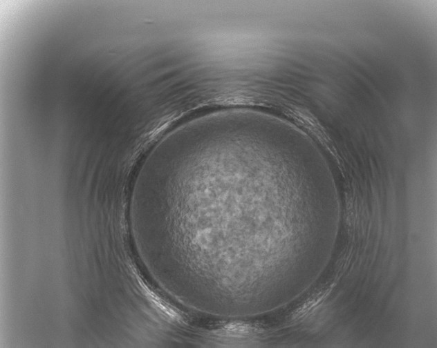 X0000058800441200510071706