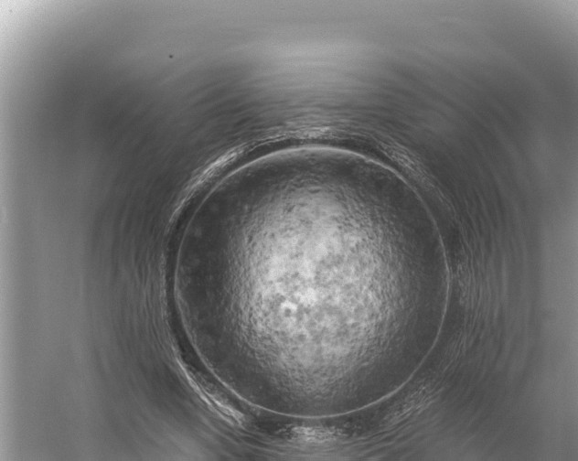 X0000058800442200510071706