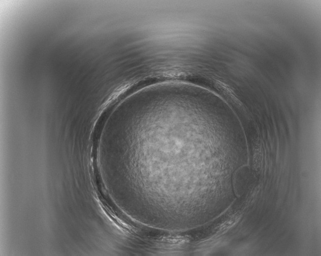 X0000058800443200510071706