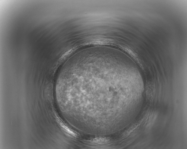 X0000058800445200510071706