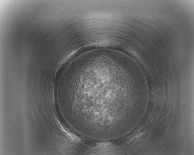 X0000058800446200510071706