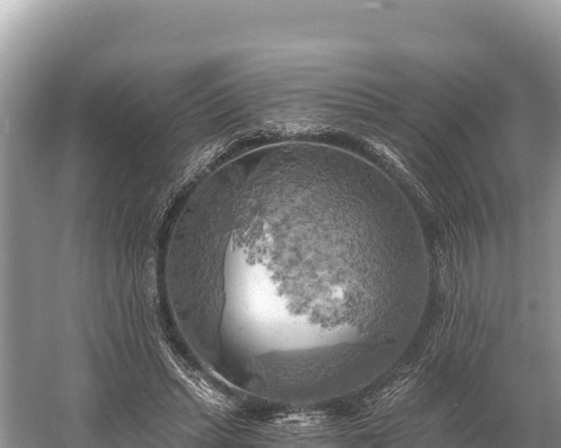 X0000058800447200510071706