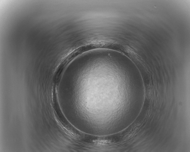 X0000058800448200510071706