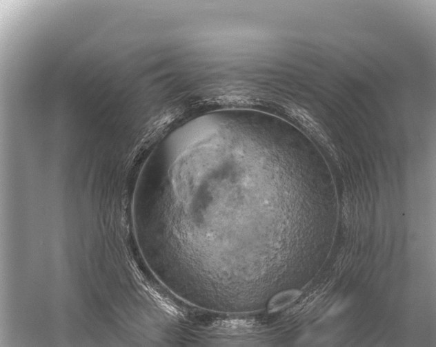 X0000058800449200510071706