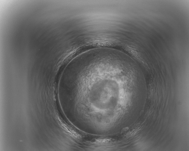 X0000058800450200510071706