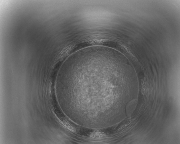 X0000058800451200510071706