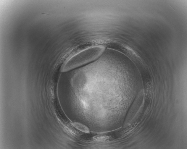 X0000058800452200510071706