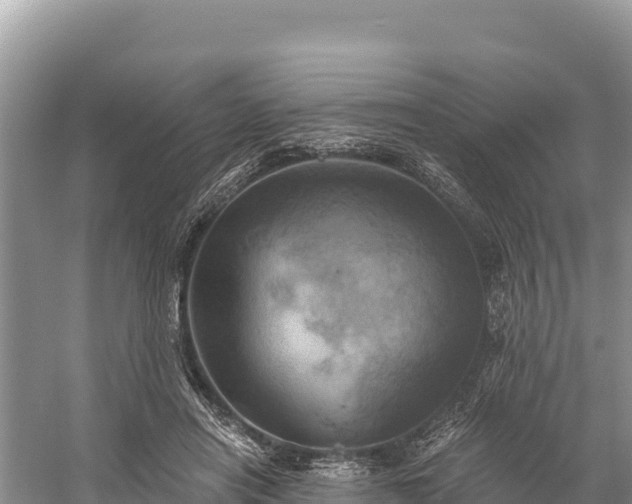 X0000058800454200510071706