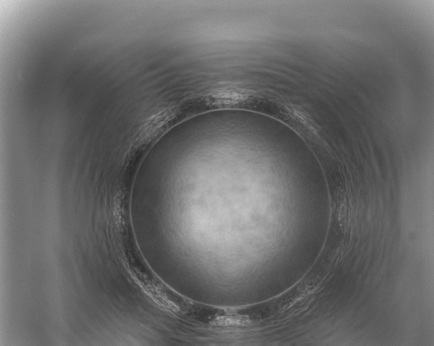 X0000058800455200510071706