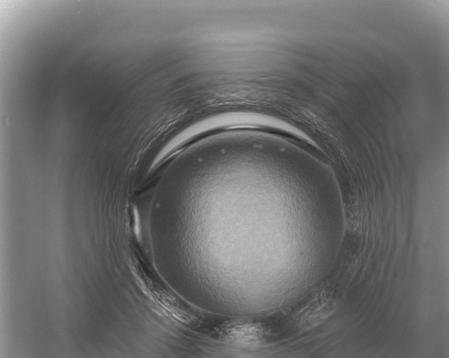 X0000058800456200510071706