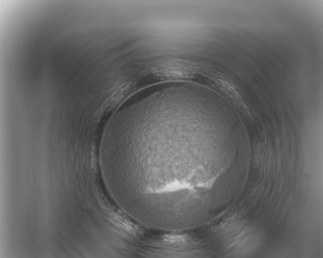 X0000058800457200510071706