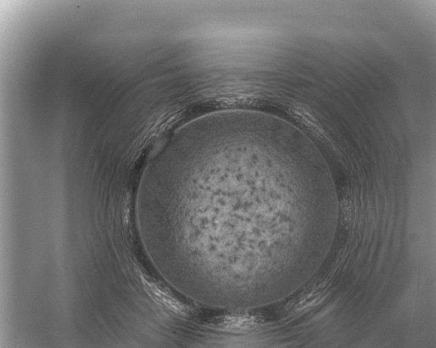 X0000058800458200510071706