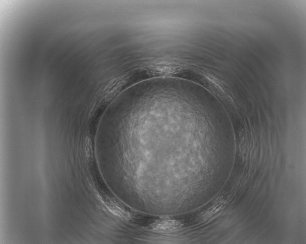 X0000058800459200510071706