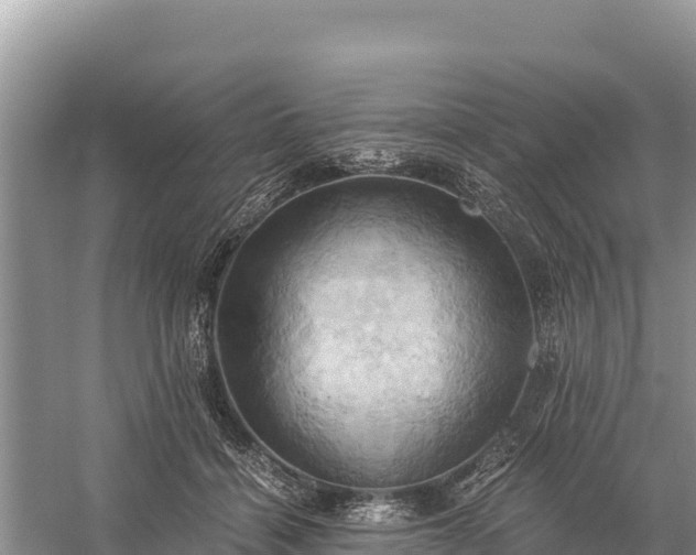 X0000058800460200510071706