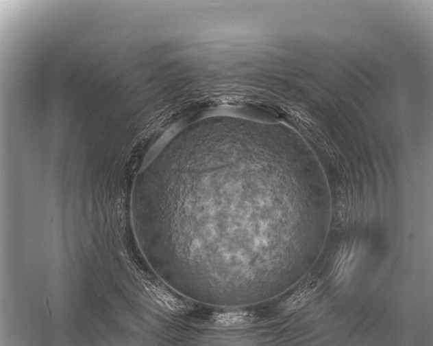 X0000058800461200510071706