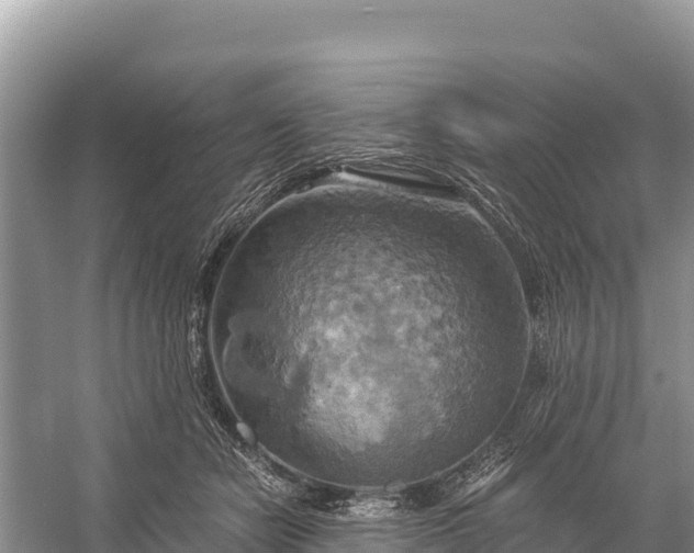 X0000058800462200510071706