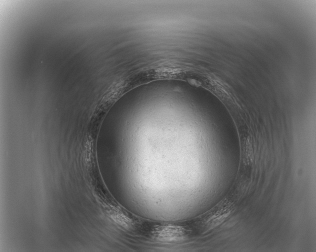 X0000058800463200510071706