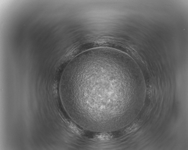 X0000058800466200510071706