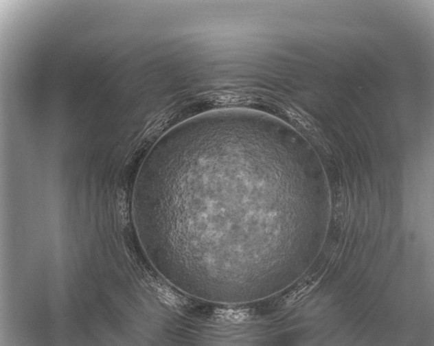 X0000058800469200510071706