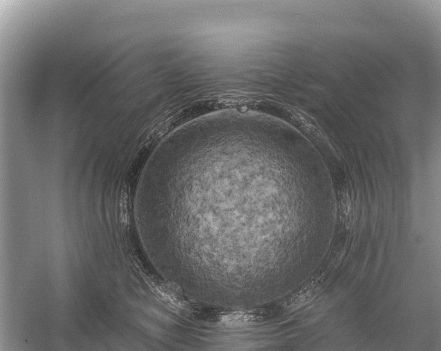 X0000058800470200510071706