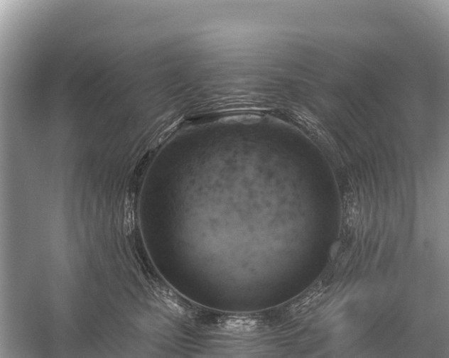 X0000058800471200510071706