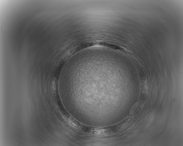 X0000058800472200510071706