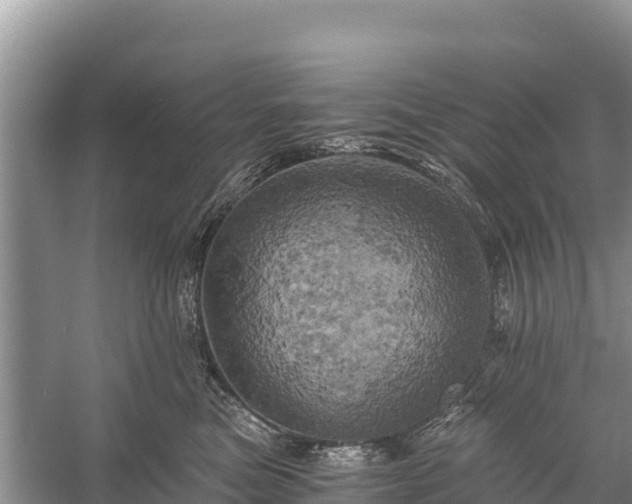 X0000058800473200510071706