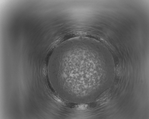 X0000058800474200510071706