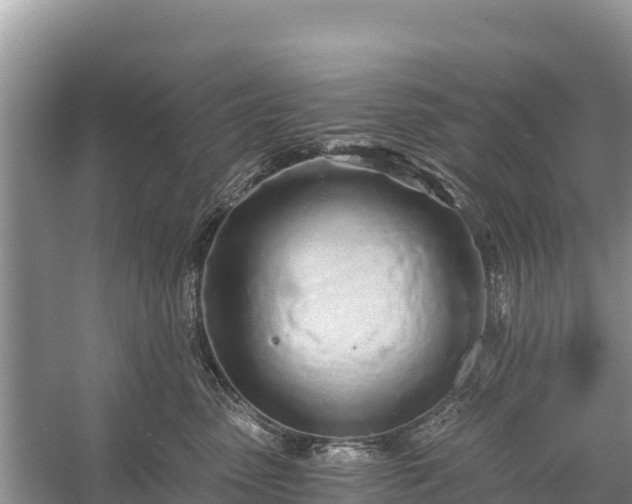 X0000058800475200510071706