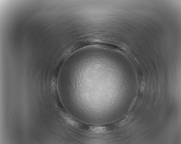 X0000058800476200510071707