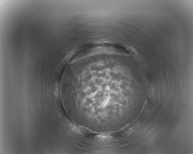 X0000058800477200510071707