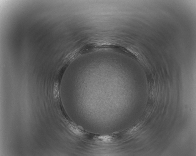 X0000058800478200510071707